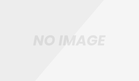 半減期が経済に与える長期的な効果